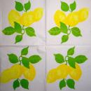 186 Lemons, Oranges - 3-ply - SALE !
